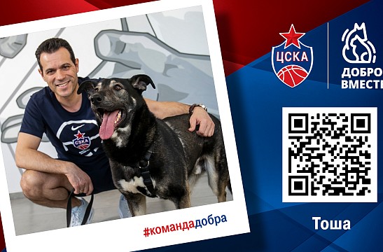 #Фотоальбом. Команда Добра!